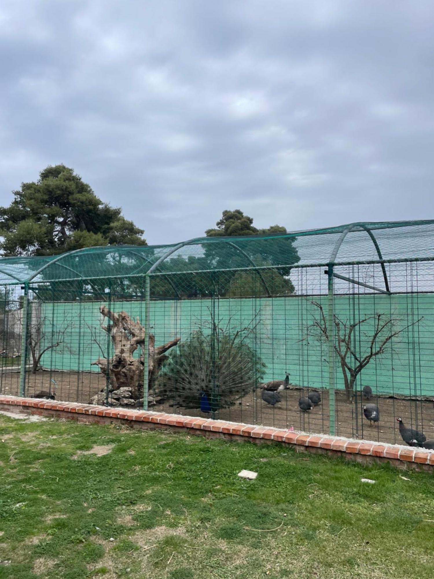 费里 Agroturizem Eldi酒店 外观 照片