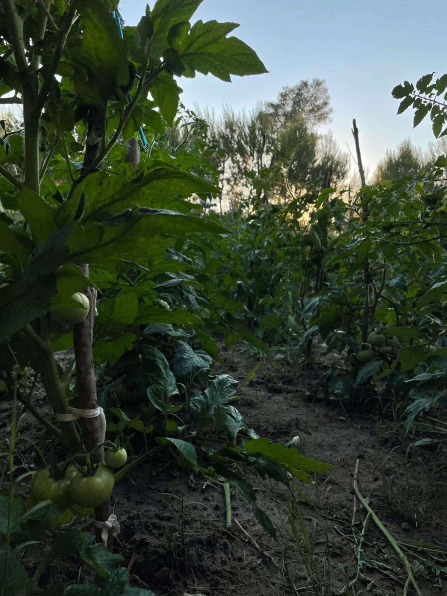 费里 Agroturizem Eldi酒店 外观 照片